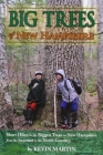 Big Trees of New Hampshire: Short Hikes to the Biggest Trees in New Hampshire from the Seacoast to the North Country By Kevin Martin Cover Image