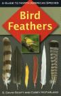Bird Feathers: A Guide to North American Species By S. David Scott, Casey McFarland Cover Image