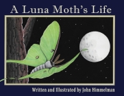 A Luna Moth's Life By John Himmelman, John Himmelman (Illustrator) Cover Image