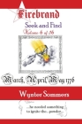 Firebrand Vol 6: Seek and Find By Wynter Sommers Cover Image