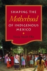 Shaping the Motherhood of Indigenous Mexico Cover Image