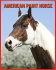 American Paint Horse: Childrens Book Amazing Facts & Pictures about American Paint Horse By Sue Anthony Cover Image
