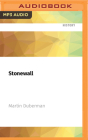Stonewall: The Definitive Story of the Lgbt Rights Uprising That Changed America By Martin Duberman, Vikas Adam (Read by) Cover Image