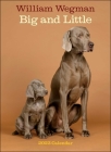 William Wegman Big and Little 2023 Wall Calendar By William Wegman Cover Image