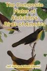The Composite Plates of Audubon's Birds of America By Albert Filemyr, Jeff Holt Cover Image
