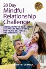20 Day Mindful Relationship Challenge: Create, Improve, and Sustain a Happy Life Relationship for Young, Seasoned, and Even Singles By Jenny Stanley (Narrated by), Audrey B. Carmela Cover Image