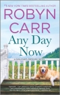 Any Day Now (Sullivan's Crossing #2) By Robyn Carr Cover Image