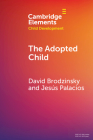 The Adopted Child By David Brodzinsky, Jesus Palacios Cover Image