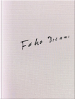 Matthias Wittig: Fake Dreams By Frank Hilberg, Matthias Wittg (Editor) Cover Image