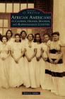 African Americans in Culpeper, Orange, Madison and Rappahannock Counties Cover Image