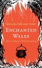 Enchanted Wales: Myth and Magic in Welsh Storytelling By Miranda Aldhouse-Green Cover Image