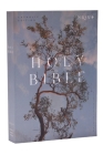 NRSV Catholic Edition Bible, Eucalyptus Paperback (Global Cover Series): Holy Bible Cover Image