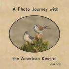 A Photo Journey with the American Kestrel By Lois Lake Cover Image