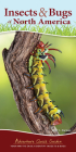 Insects & Bugs of North America: Your Way to Easily Identify Insects & Bugs (Adventure Quick Guides) Cover Image