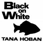 Black on White By Tana Hoban, Tana Hoban (Illustrator) Cover Image