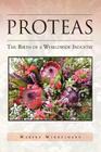 Proteas: The Birth of a Worldwide Industry By Maryke Middelmann Cover Image