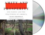 Amity and Prosperity: One Family and the Fracturing of America Cover Image