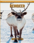Reindeer: A Fun and Educational Book for Kids with Amazing Facts and Pictures By Odette Leo Cover Image