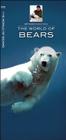 The World of Bears (Jeff Corwin's Explorer) By Jeff Corwin Cover Image