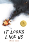 It Looks Like Us By Alison Ames Cover Image