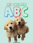 Mi Primer ABC (Impresión Gigante): (Aprende el Alfabeto con animales, alimentos, objetos en buena calidad de color) By Victor I. Castillo Cover Image