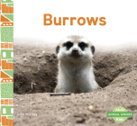Burrows Cover Image