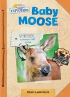 Active Minds Explorers Baby Moose By Ellen Lawrence, Sequoia Kids Media (Illustrator) Cover Image