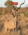 Kudu: Amazing Facts about Kudu By Devin Haines Cover Image