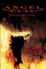 Angel Fire: The Graphic Novel Cover Image