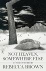 Not Heaven, Somewhere Else Cover Image