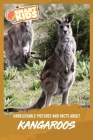 Unbelievable Pictures and Facts About Kangaroos By Olivia Greenwood Cover Image