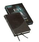 Pitt Minion Reference Bible-ESV By Cambridge Bibles (Manufactured by) Cover Image