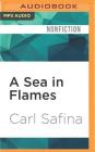 A Sea in Flames Cover Image