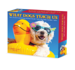 What Dogs Teach Us 2023 Box Calendar By Willow Creek Press Cover Image