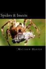 Spiders & Insects: Two Fascinating Books Combined Together Containing Facts, Trivia, Images & Memory Recall Quiz: Suitable for Adults & C By Matthew Harper Cover Image