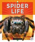 Spider Life (Reading Rocks!) By Leslie Dinaberg Cover Image