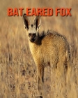 Bat Eared Fox: Amazing Facts about Bat Eared Fox By Devin Haines Cover Image