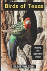 Birds of Texas: Guide to Exploring Birds in Texas By Elsie Wilson Cover Image