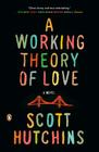 A Working Theory of Love: A Novel Cover Image
