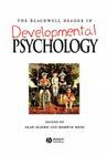 Development Psychology By Alan Slater (Editor), Darwin Muir (Editor) Cover Image