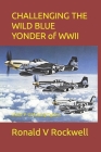 Challenging the Wild Blue Yonder of WWII Cover Image