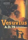 Vesuvius, A.D. 79: The Destruction of Pompeii and Herculaneum By Ernesto De Carolis, Giovanni Patricelli Cover Image