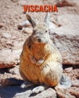 Viscacha: Beautiful Pictures & Interesting Facts Children Book About Viscacha Cover Image