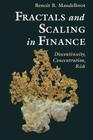 Fractals and Scaling in Finance: Discontinuity, Concentration, Risk. Selecta Volume E Cover Image