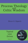 Process Theology and Celtic Wisdom (Topical Line Drives #31) By Bruce G. Epperly Cover Image