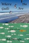 Where the Gulls Are: Fishing with Joe By Bob Burroughs Cover Image