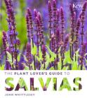 The Plant Lover's Guide to Salvias (The Plant Lover’s Guides) By John Whittlesey Cover Image