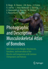 Photographic and Descriptive Musculoskeletal Atlas of Bonobos: With Notes on the Weight, Attachments, Variations, and Innervation of the Muscles and C By Rui Diogo, Brian Shearer, Josep M. Potau Cover Image