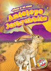 Antelope Jackrabbits Cover Image
