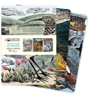 Angela Harding Set of 3 Midi Notebooks Ð Wildlife (Midi Notebook Collections) By Flame Tree Studio (Created by) Cover Image